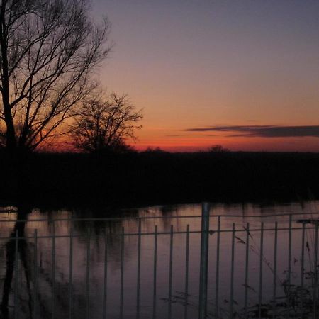 Pension "Zum Schwan" Muhr am See 外观 照片